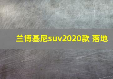 兰博基尼suv2020款 落地